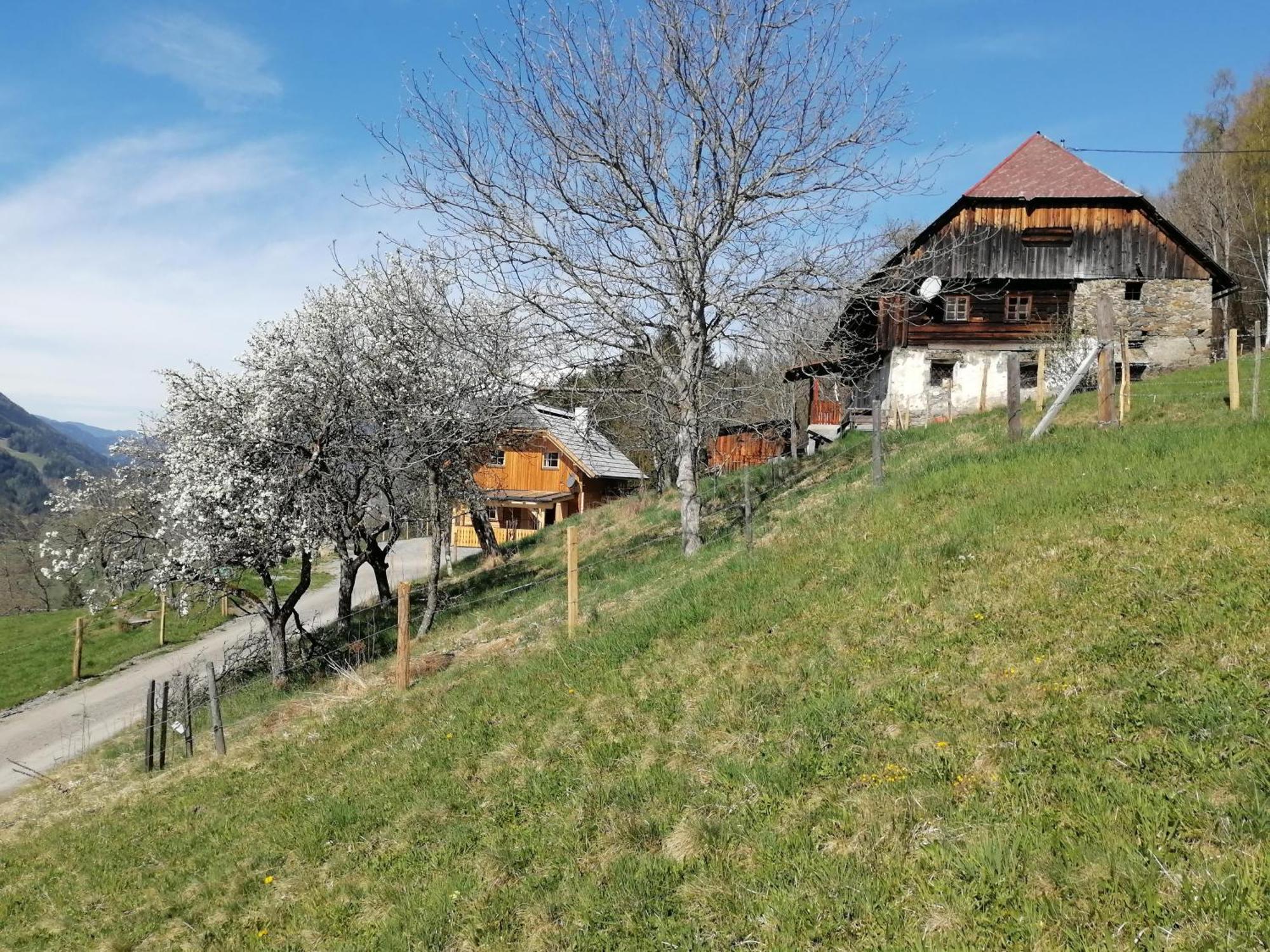 Villa Laerchenhaus ,,Unterer Brodl" Sankt Peter am Kammersberg Exterior foto